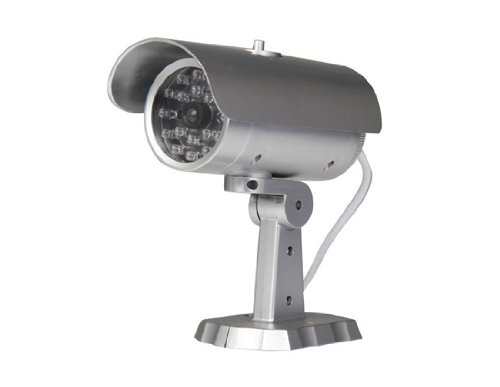 HUMPS Water-resistant IR Simulated Surveillance Camera (Silver)