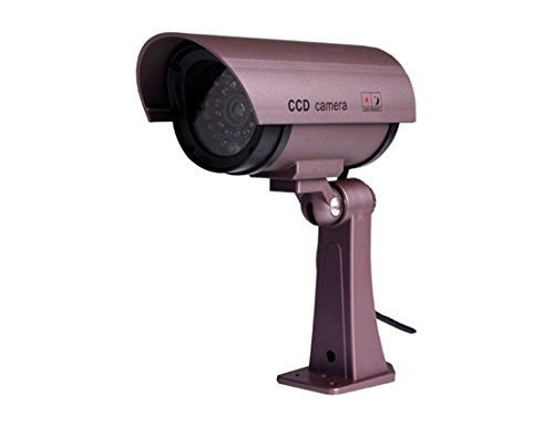 HUMPS Water-resistant IR CCD Simulated Surveillance Camera (Purple)