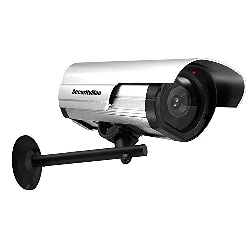 Dummy Outdoor/Indoor Camera with LED