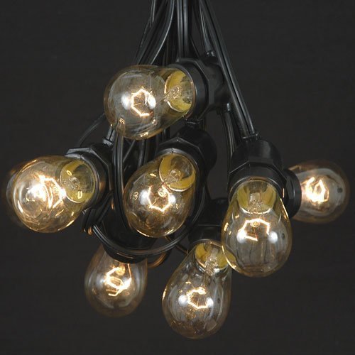 37.5 Foot S14 Clear Outdoor Patio Globe String Light Set, Black Wire, 25 Bulb Set