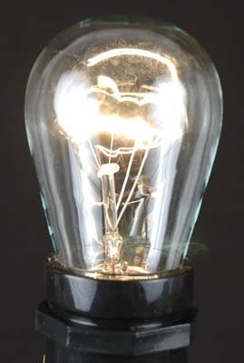 Novelty Lights, Inc. 11-S14-CL Commerical Grade S14 Replacement Bulbs, E27 Medium Base, Clear, 11 Watt, 25 Pack