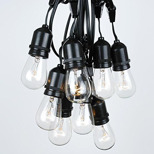 37.5 Foot S14 Clear Outdoor Patio Globe String Light Set, Suspended, Black Wire, 25 Bulb Set