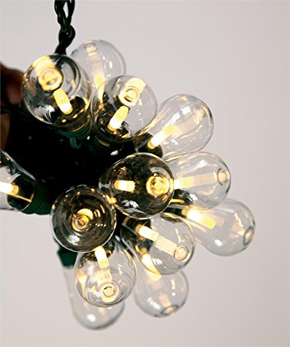 GKI/Bethlehem Lighting 25-Light Edison LED, 36 X 8 X 12-Inch, Warm White on Black Wire