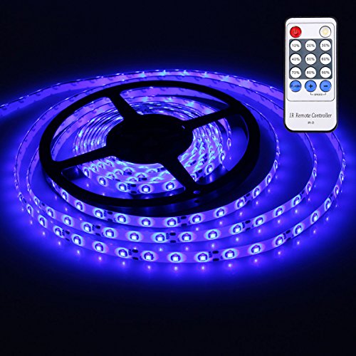 XKTTSUEERCRR 3528 SMD 16.4Ft 5Meter 300LEDs Blue Flexible Waterproof Strip Lighting With 12 key Switch IR Remote LED Dimmer Controller and DC connector