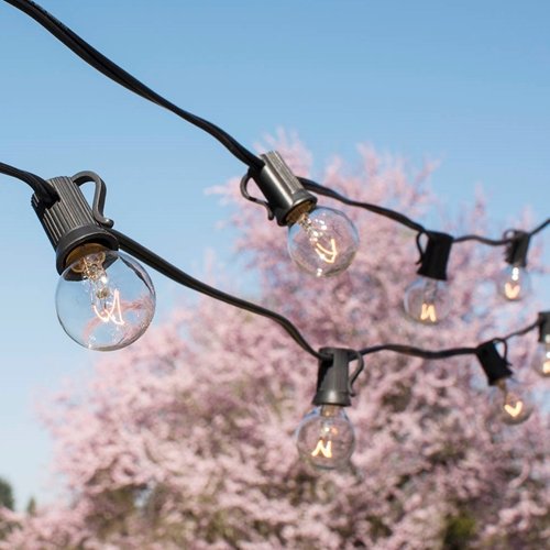 Globe String Lights, 1.25 in. Bulbs, 50 Ft Black Wire, E12, C7, Clear